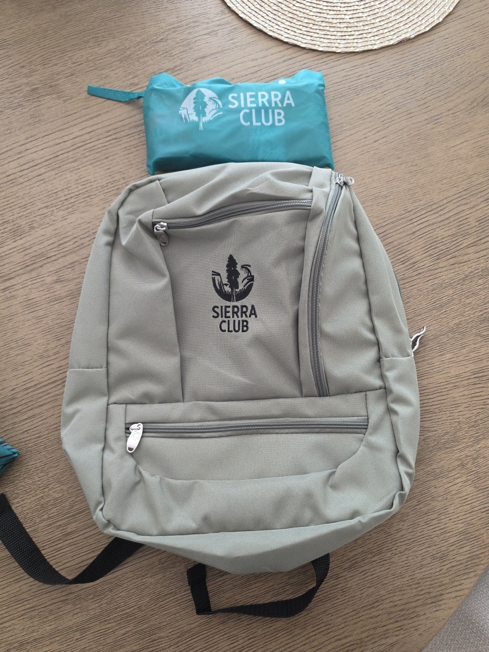 Men's Olive Green Daypack Backpack